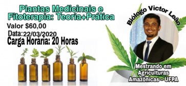 gallery/plantas medicinais e fitoterapicas